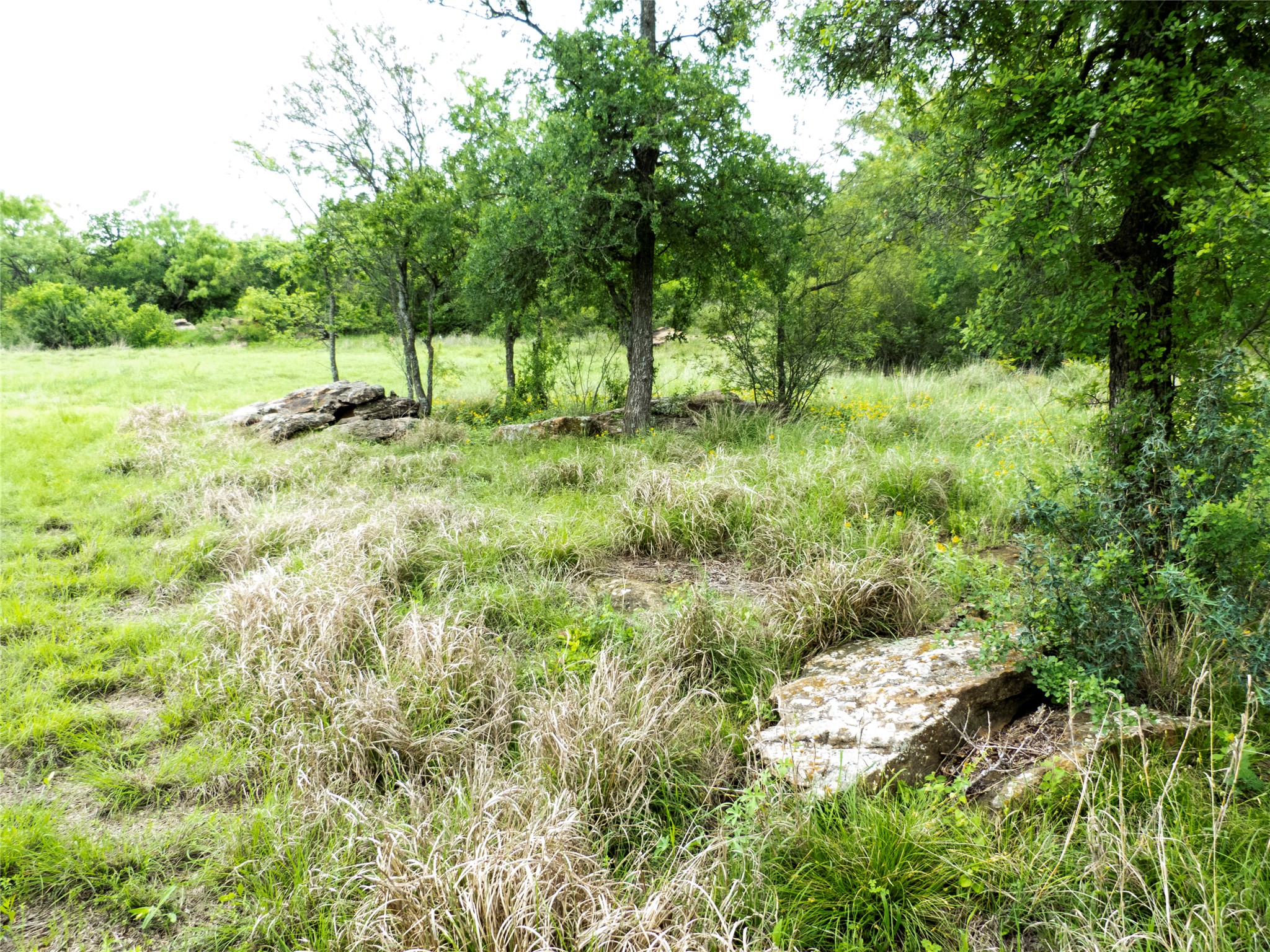 12725 County Road 105 Brownwood TX 76801