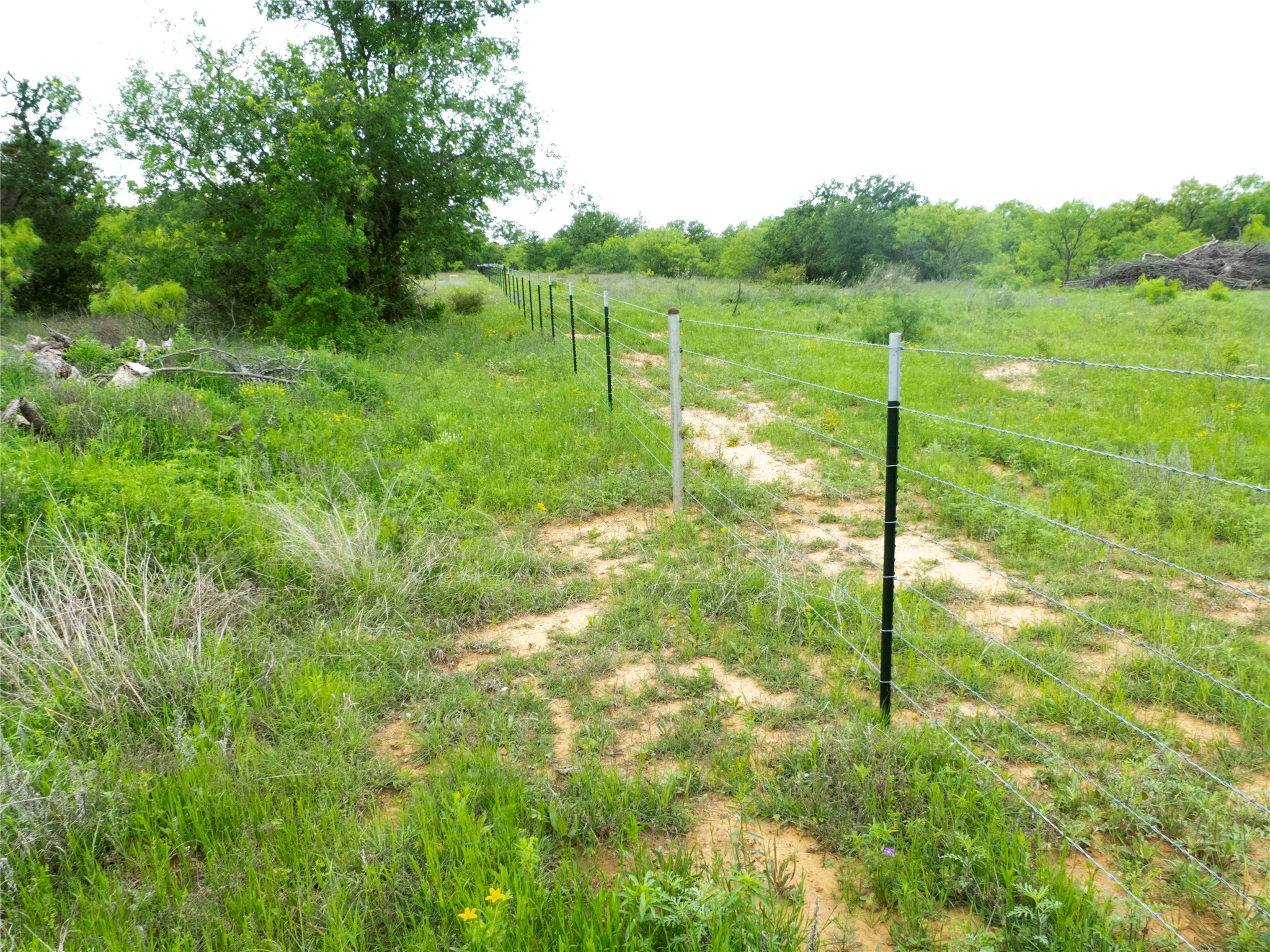 12725 County Road 105 Brownwood TX 76801