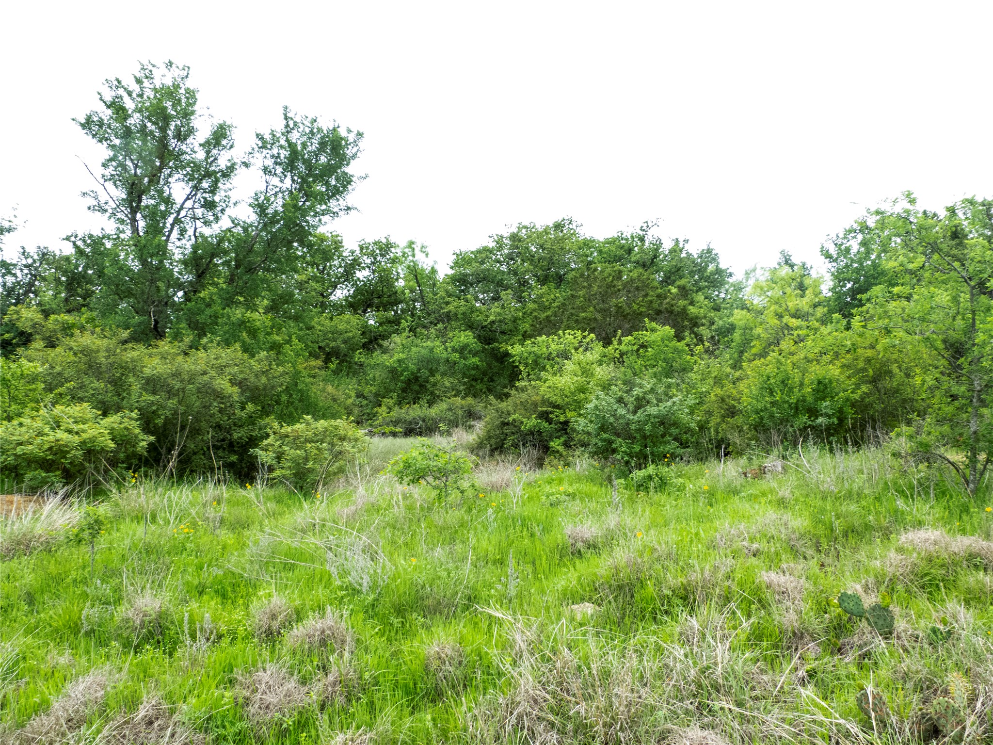 12725 County Road 105 Brownwood TX 76801