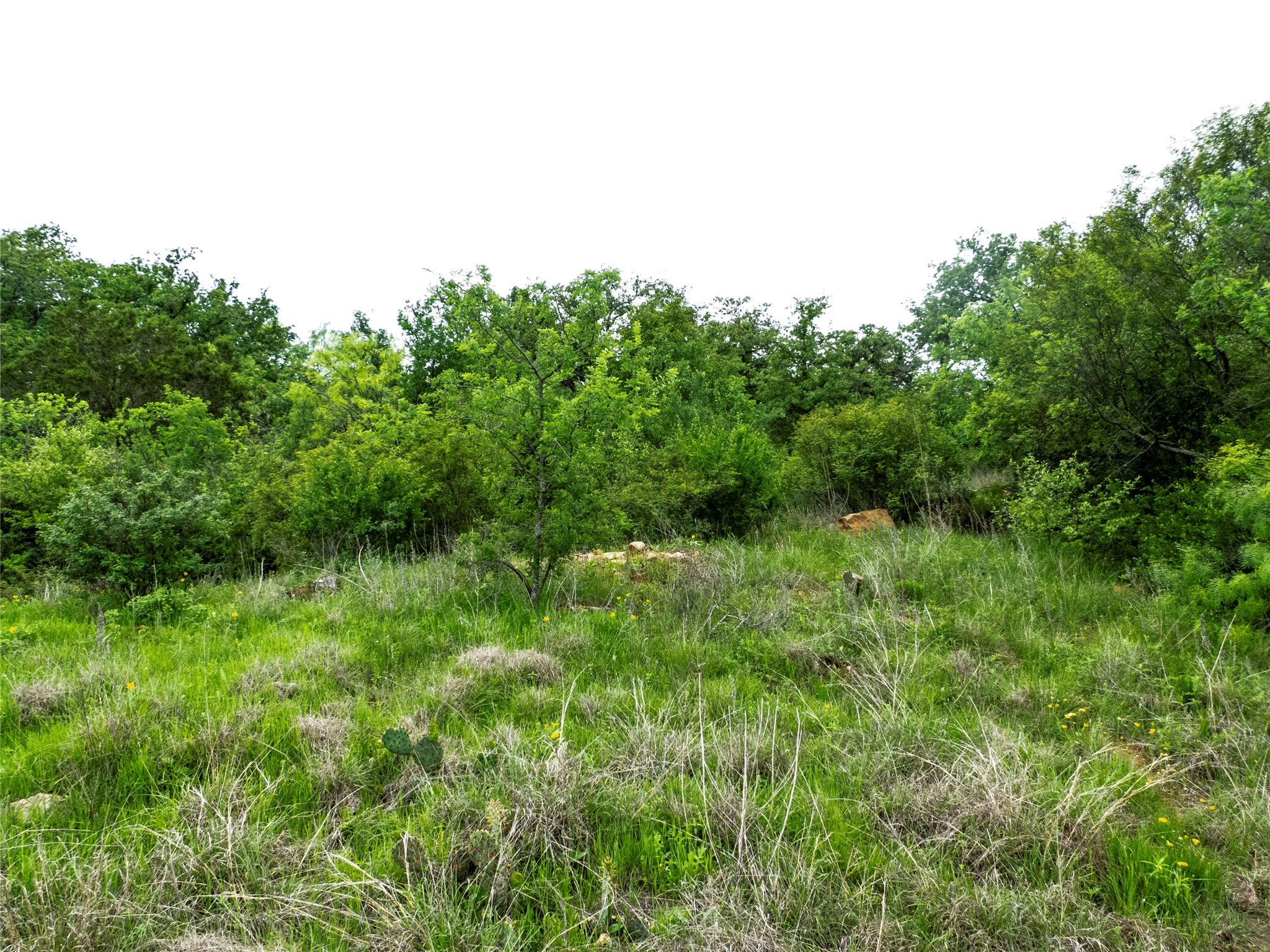 12725 County Road 105 Brownwood TX 76801