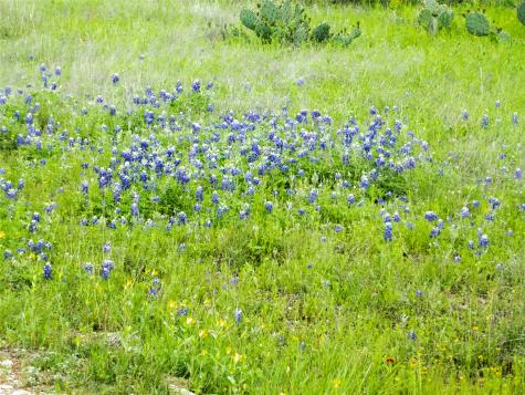 12725 County Road 105 Brownwood TX 76801
