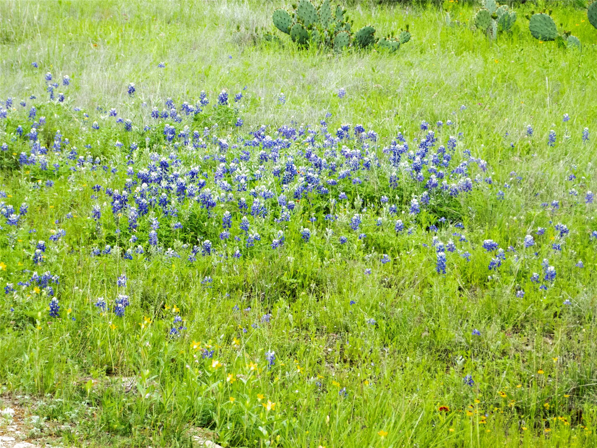 12725 County Road 105 Brownwood TX 76801