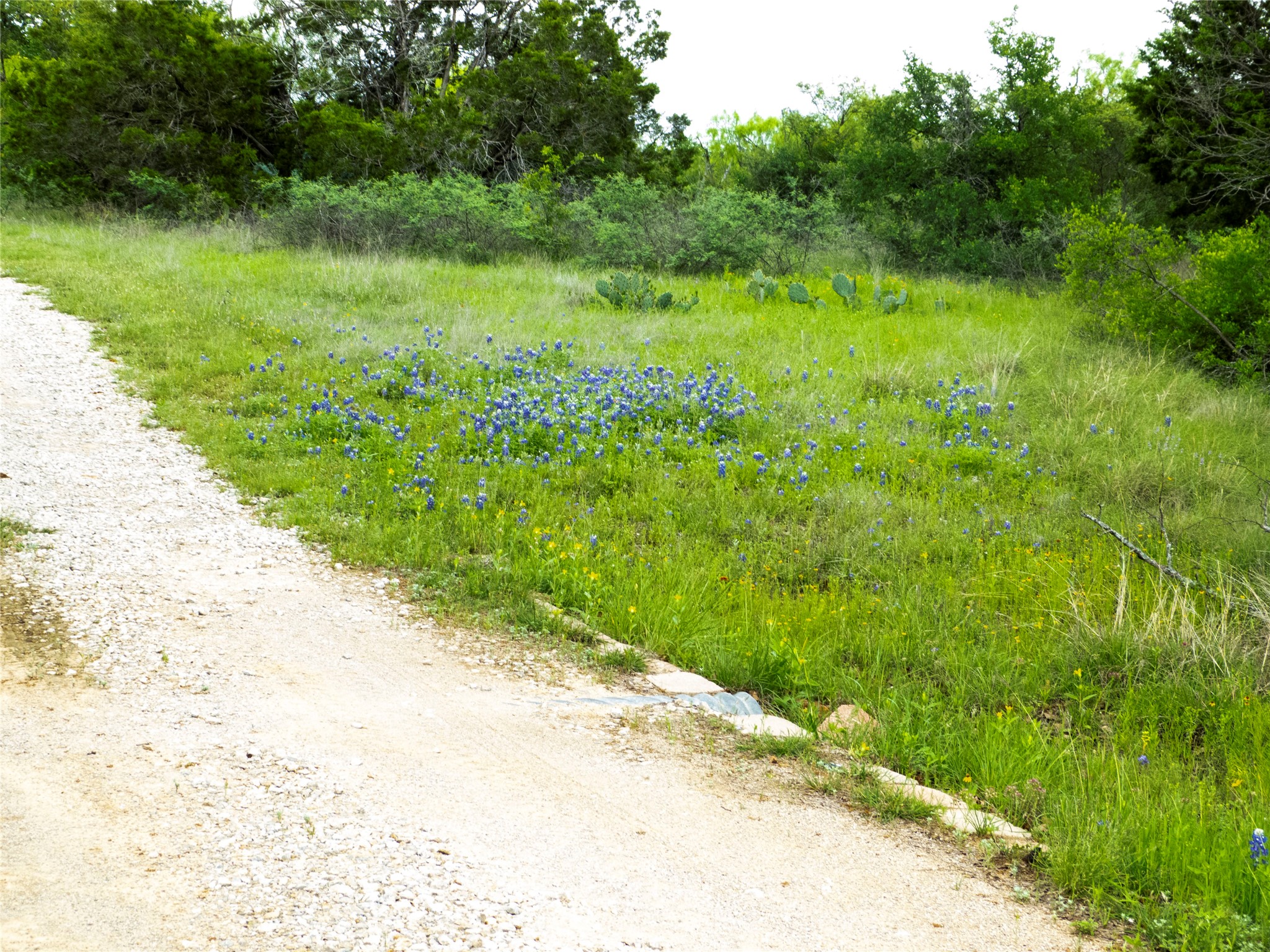 12725 County Road 105 Brownwood TX 76801