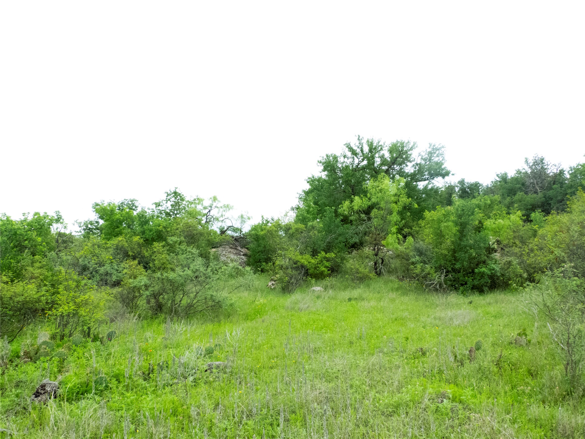 12725 County Road 105 Brownwood TX 76801