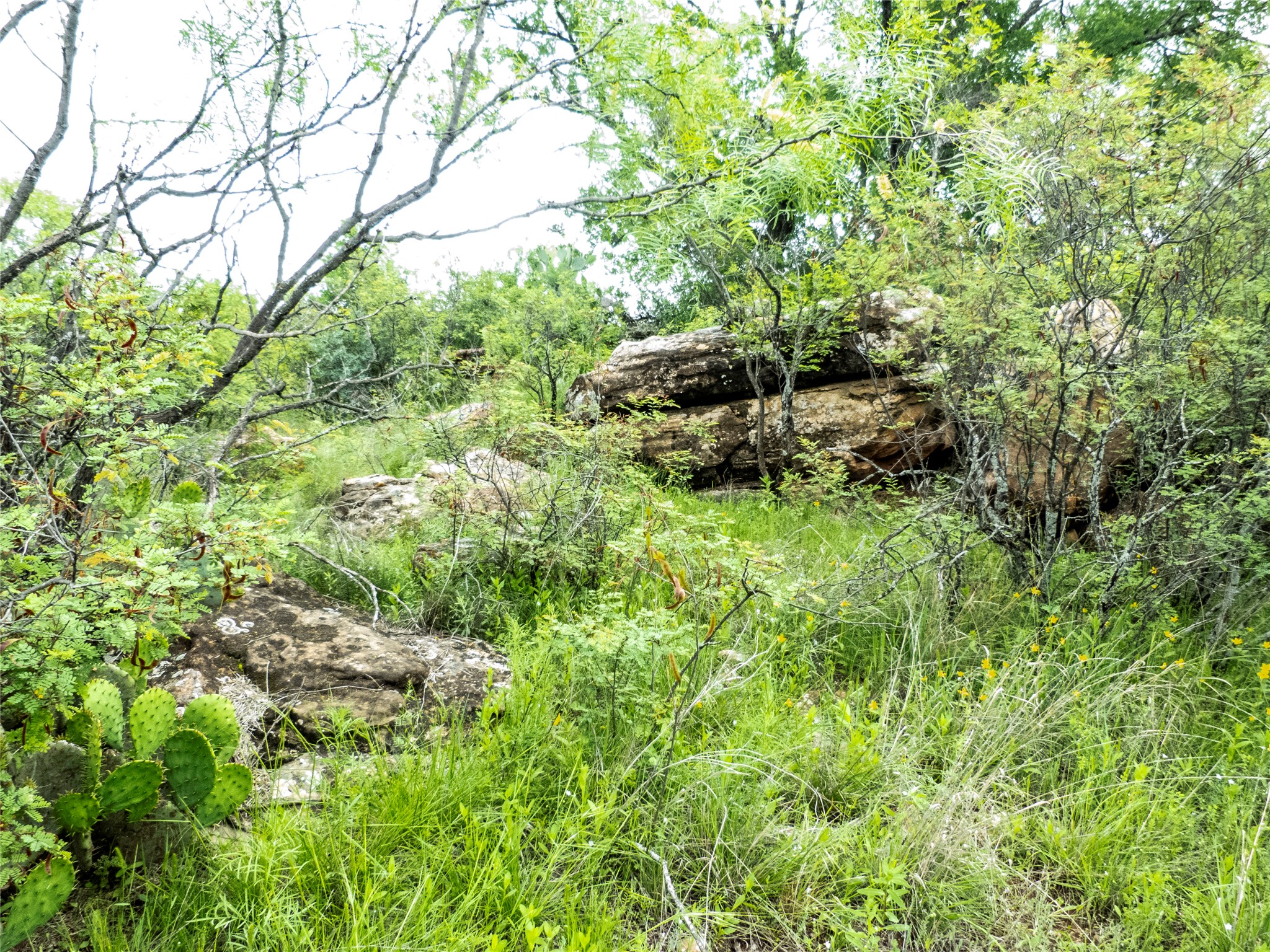 12725 County Road 105 Brownwood TX 76801