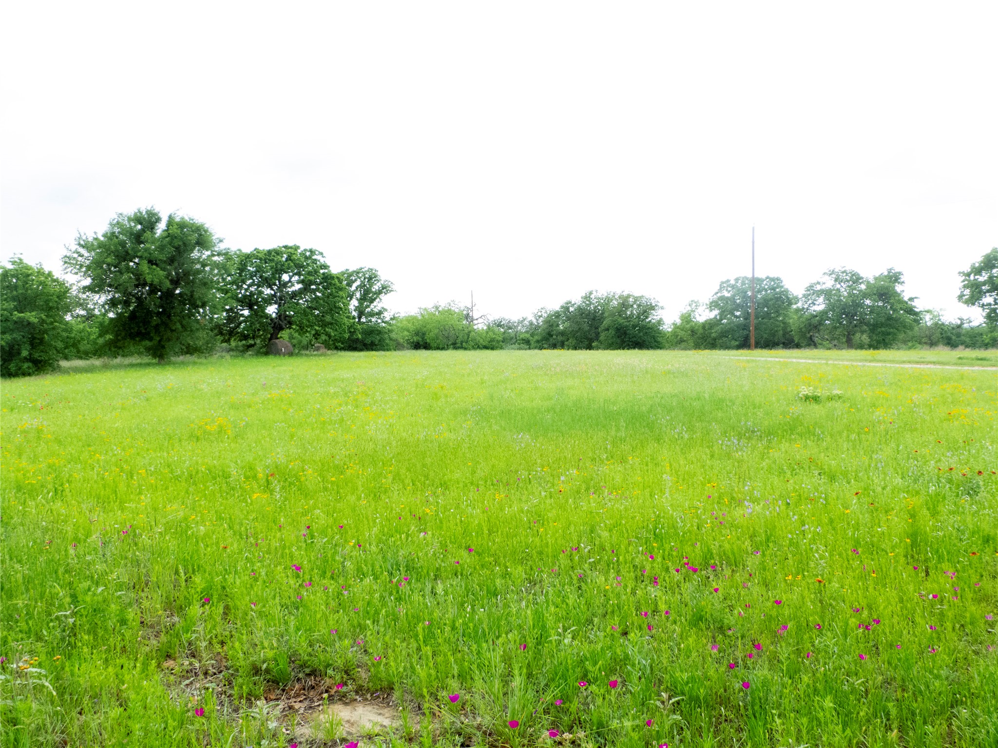 12725 County Road 105 Brownwood TX 76801
