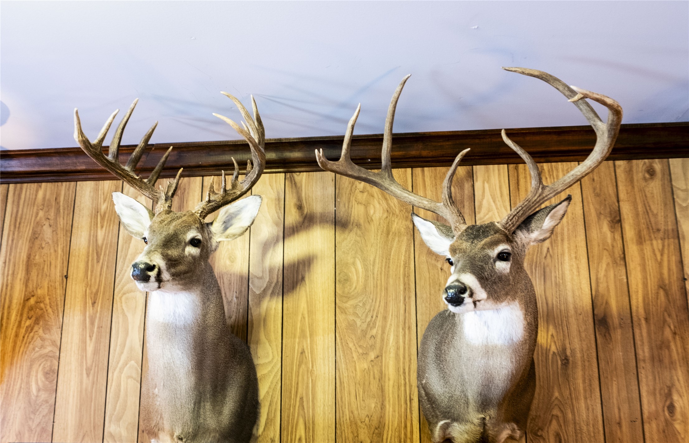12725 County Road 105 Brownwood TX 76801