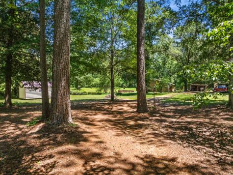 4469 County Road 1579 Avinger TX 75630