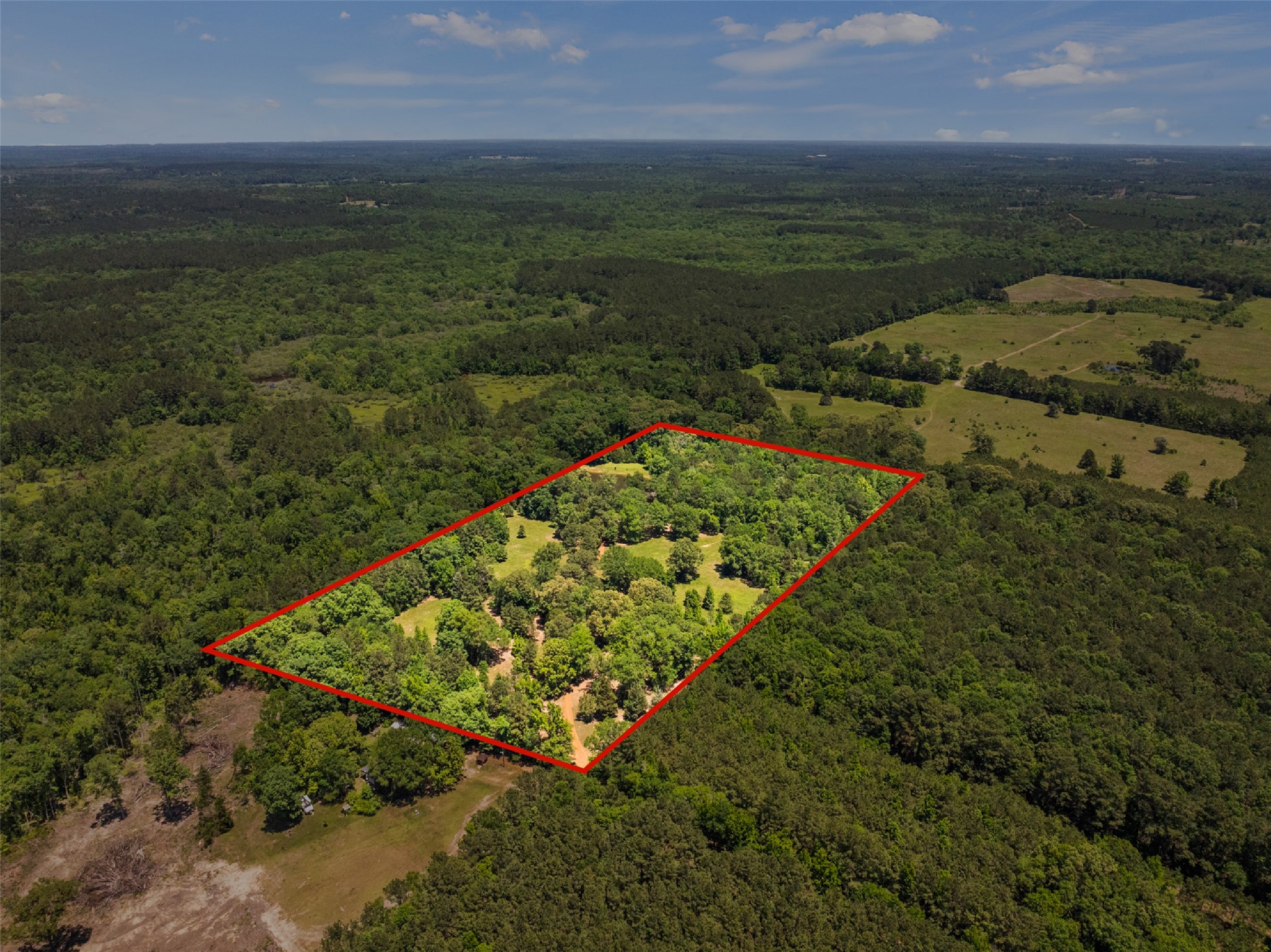 4469 County Road 1579 Avinger TX 75630