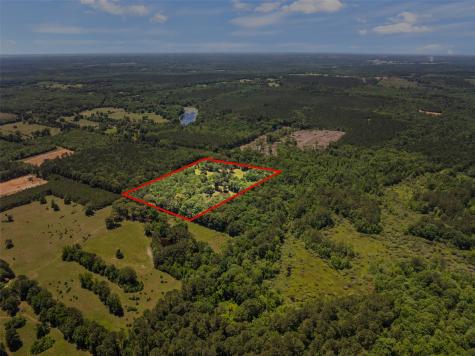 4469 County Road 1579 Avinger TX 75630