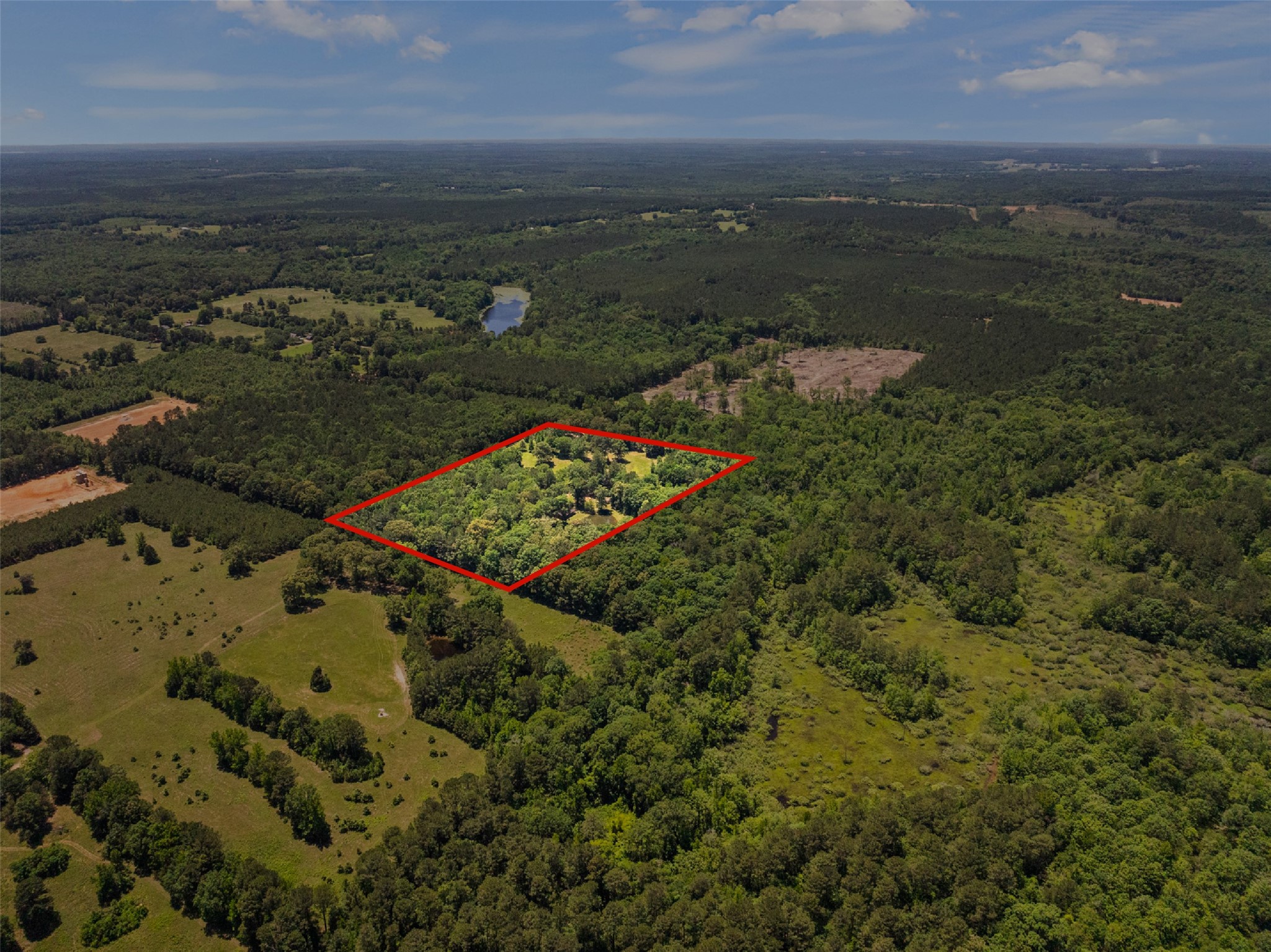 4469 County Road 1579 Avinger TX 75630