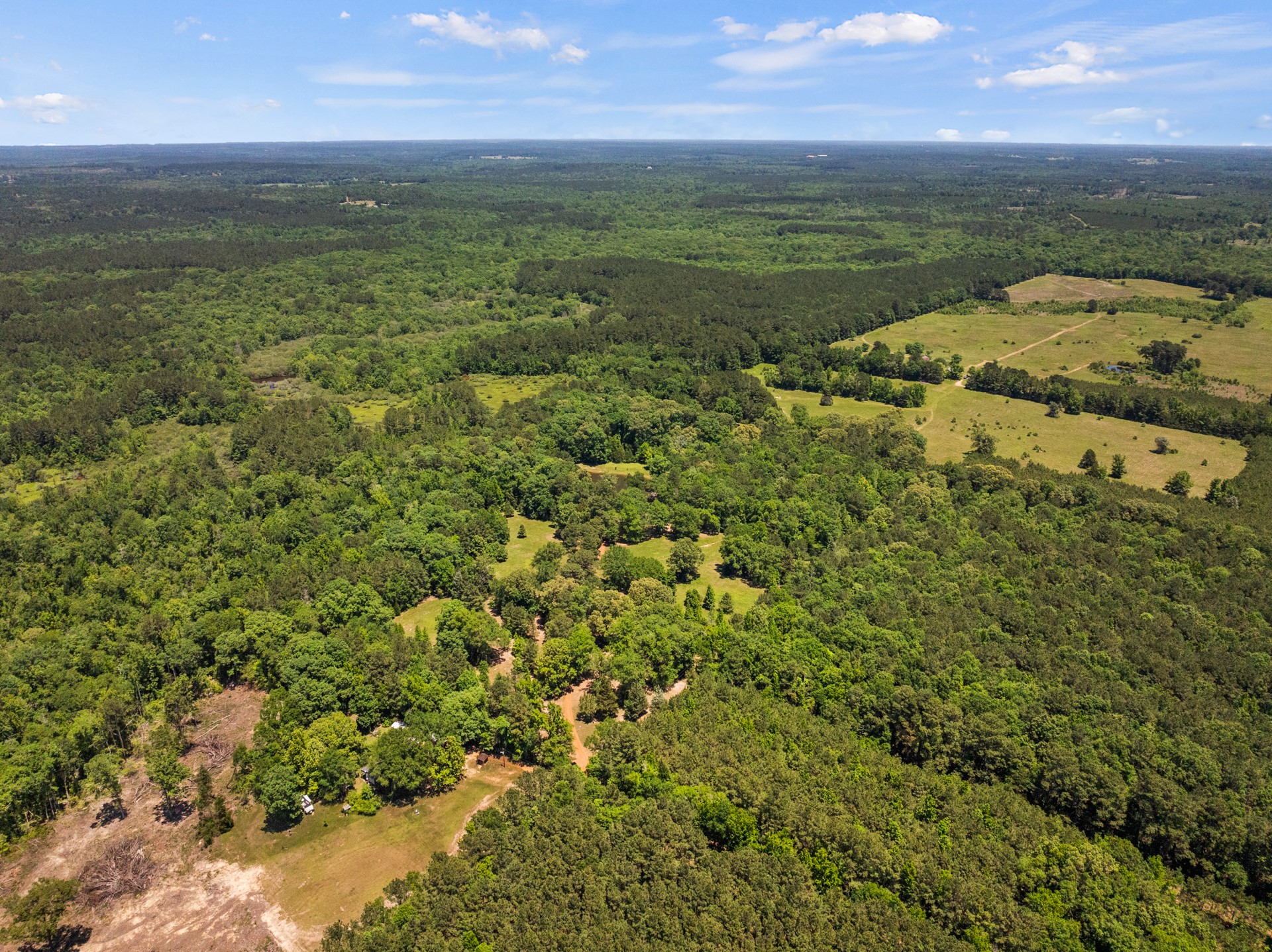 4469 County Road 1579 Avinger TX 75630