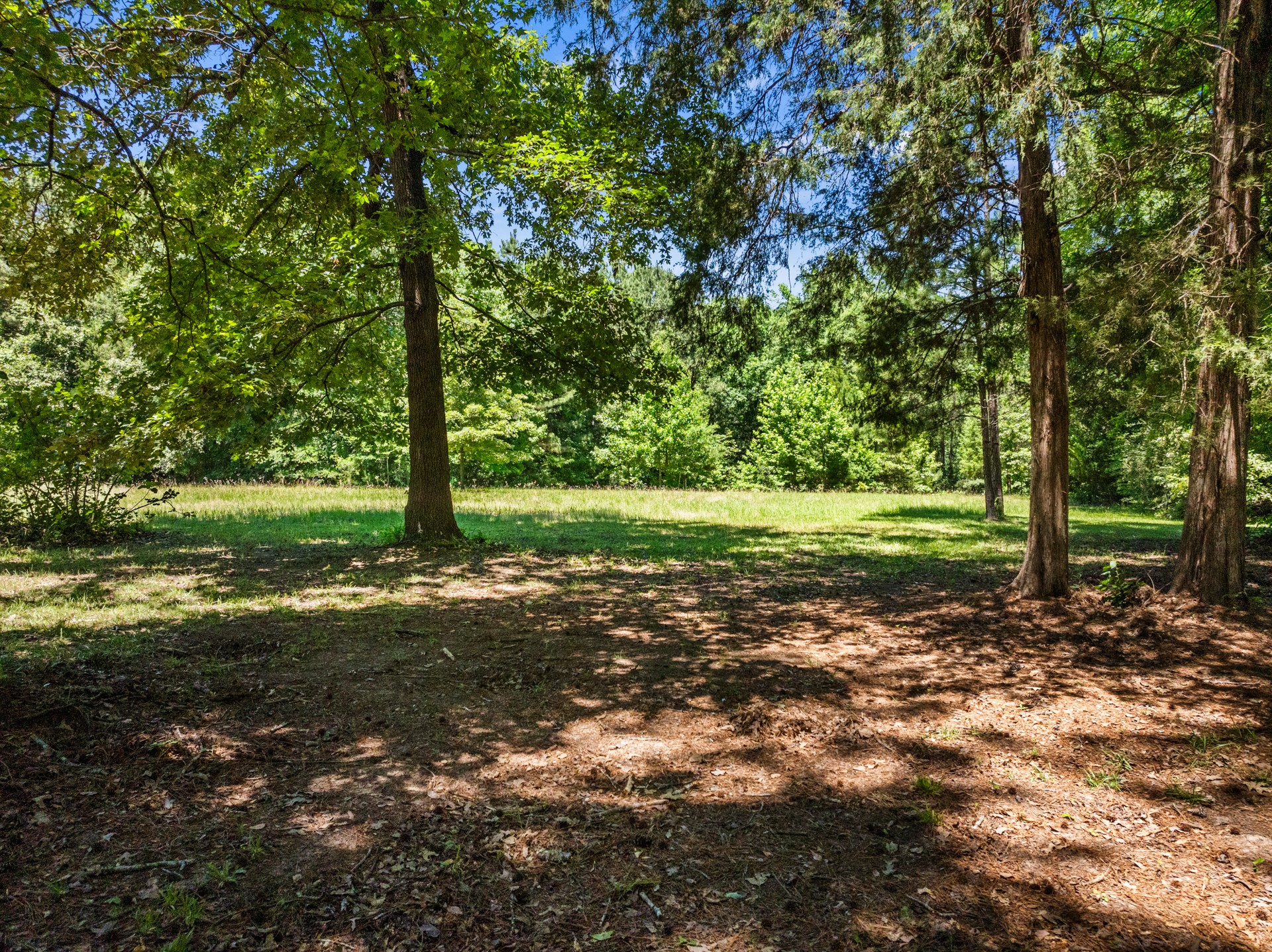 4469 County Road 1579 Avinger TX 75630