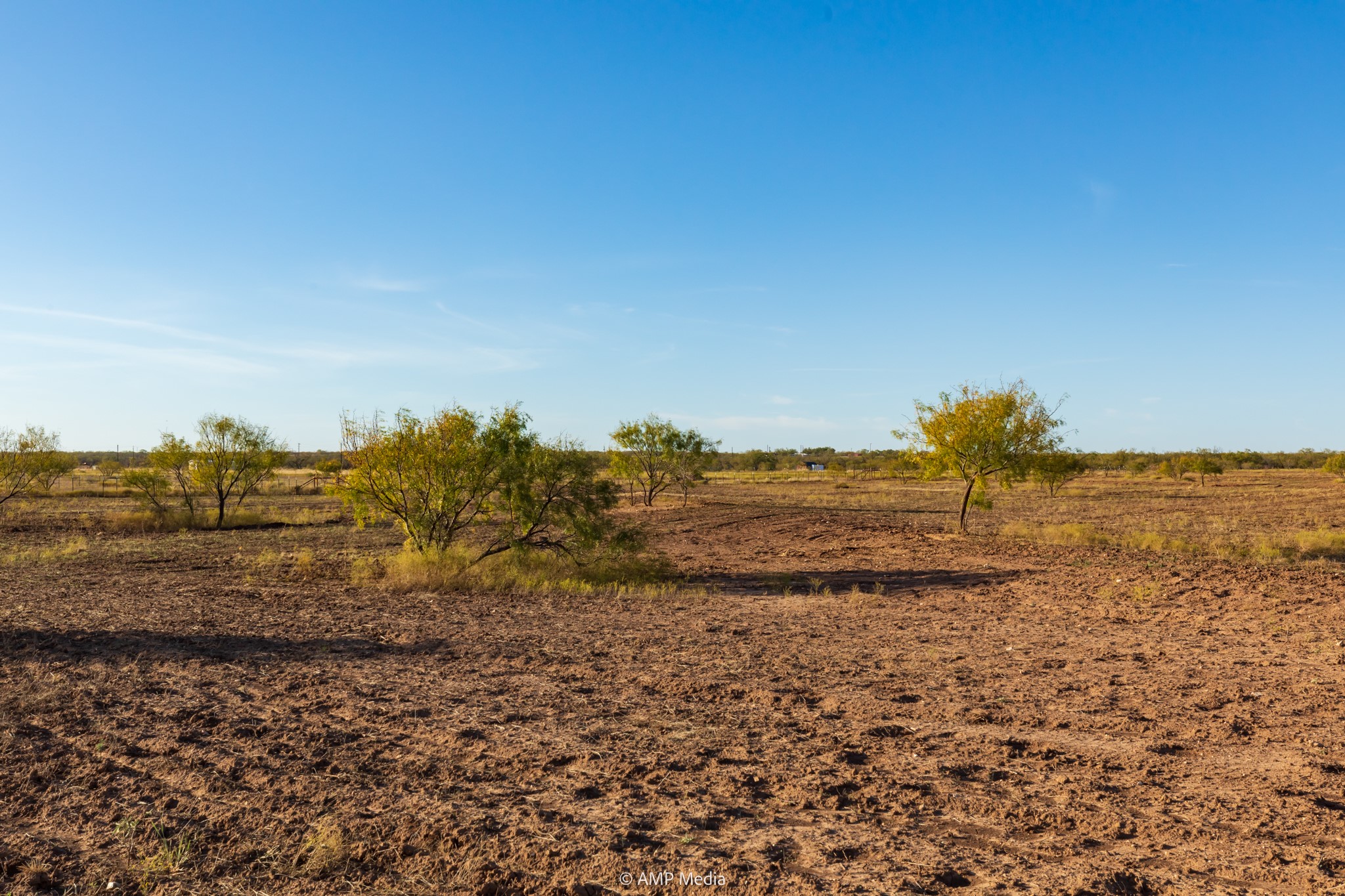 13558 County Road 440 Merkel TX 79536