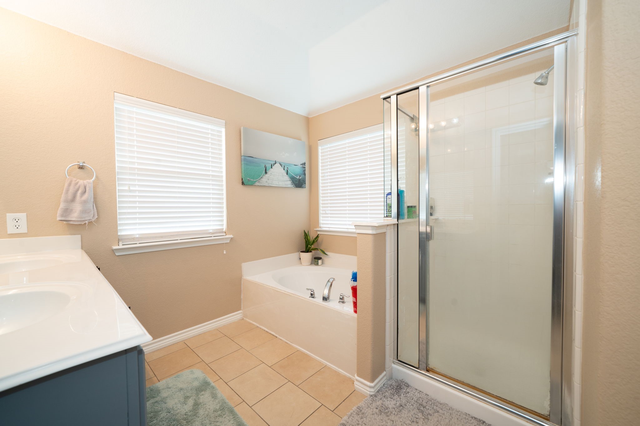409 Jasmine Circle Josephine TX 75173