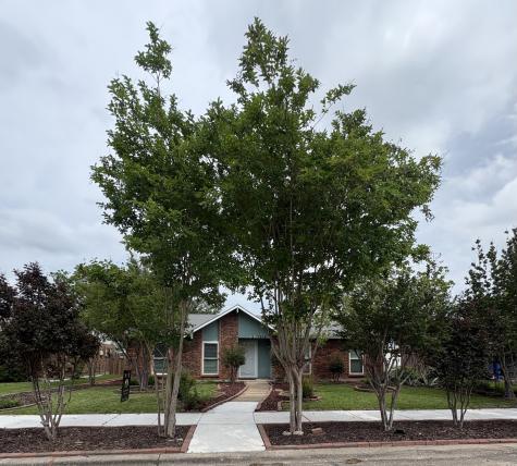 1918 Lamont Drive Garland TX 75040