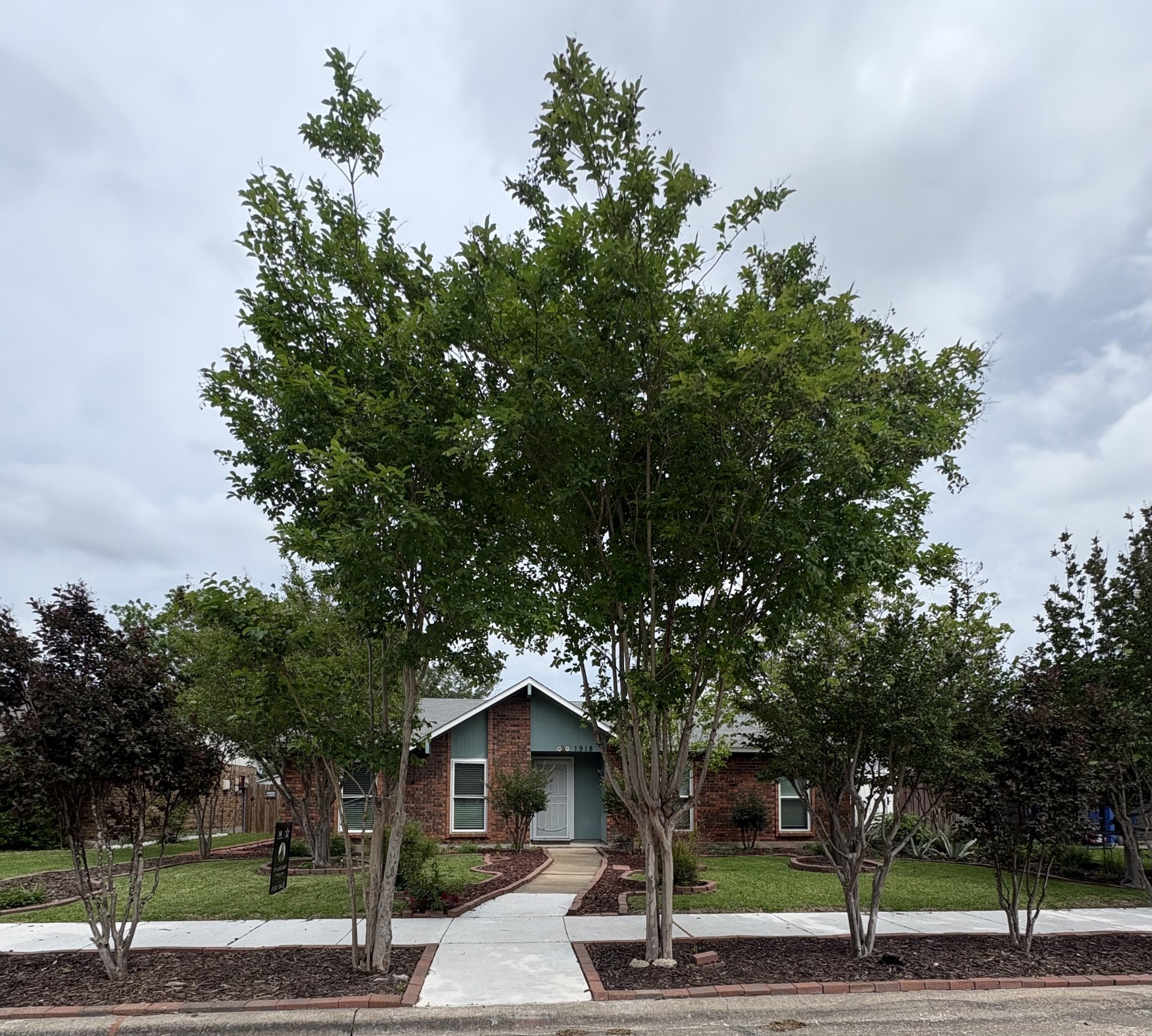 1918 Lamont Drive Garland TX 75040
