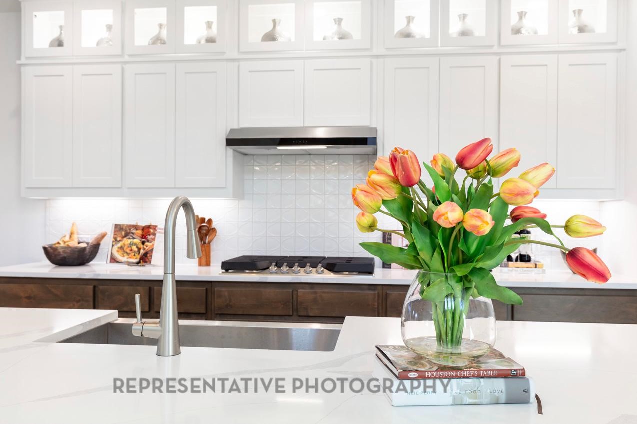 2709 Santa Monica Mews Celina TX 75009