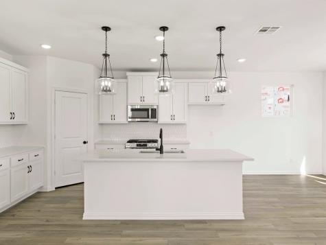 14167 Harden Street Pilot Point TX 76258