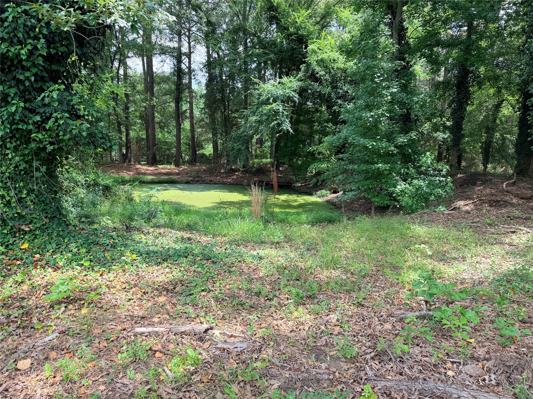 1542 Vz County Road 4207 Canton TX 75103