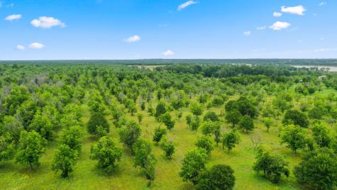 6525 Highway 2318 Comanche TX 76442