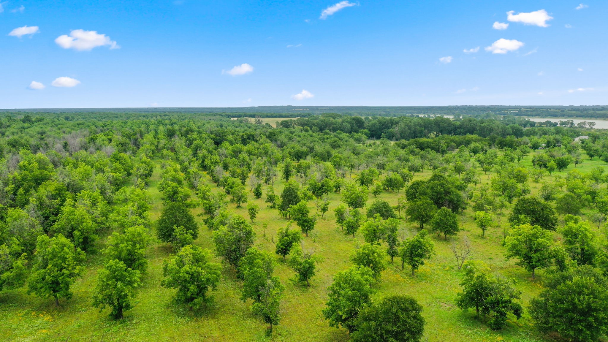 6525 Highway 2318 Comanche TX 76442