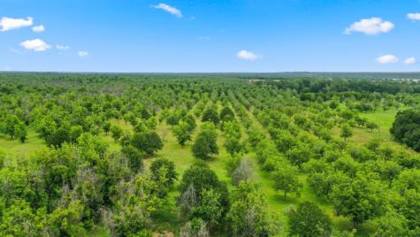 6525 Highway 2318 Comanche TX 76442