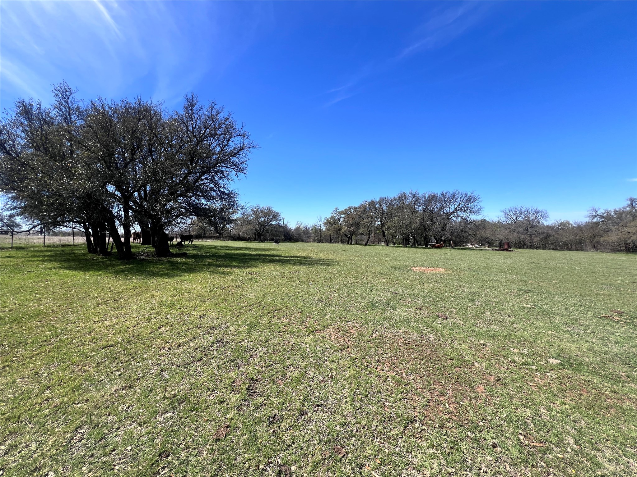 330 Fm 1287 Graham TX 76450