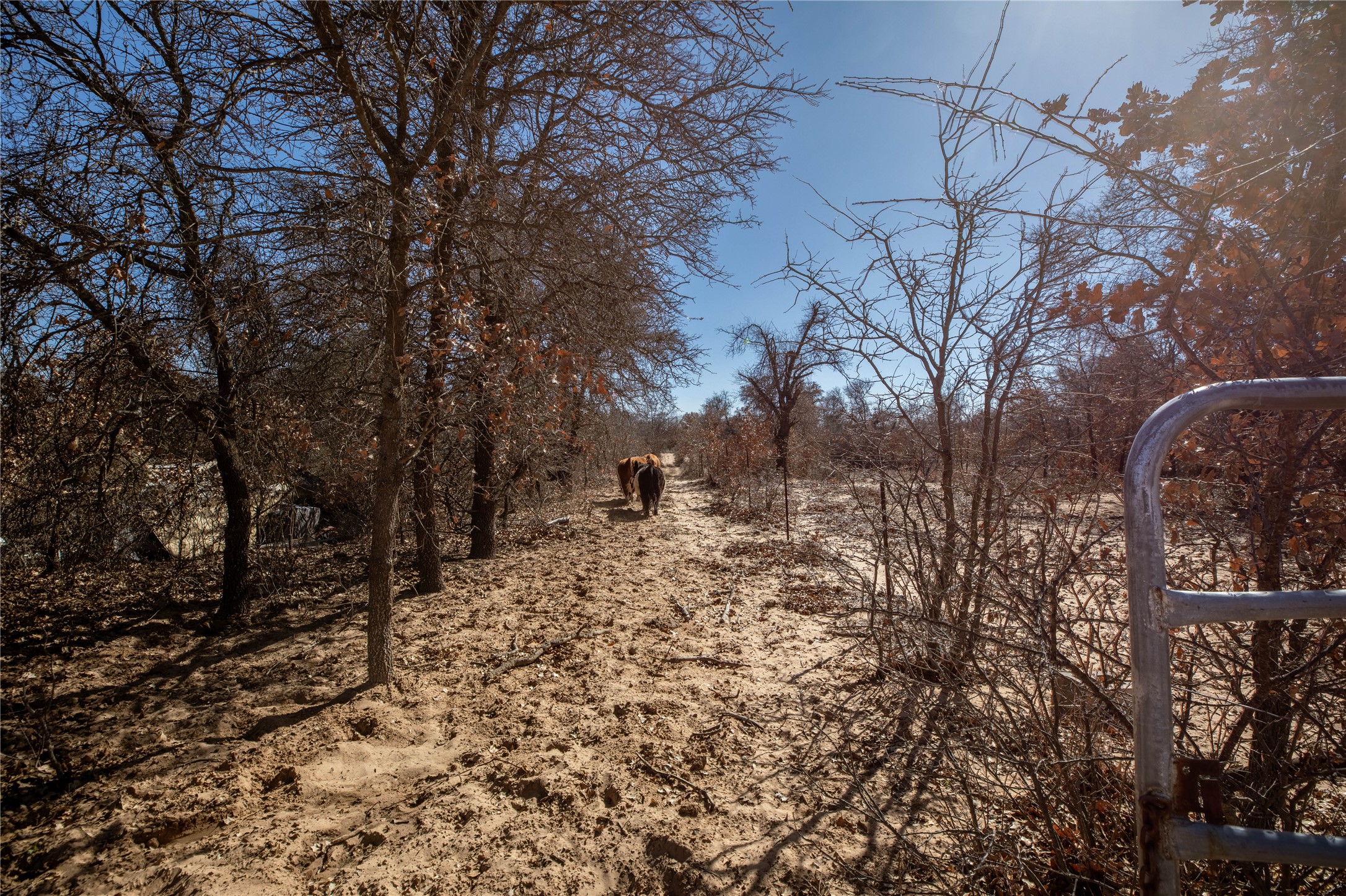 6199 County Road 335 Anson TX 79501
