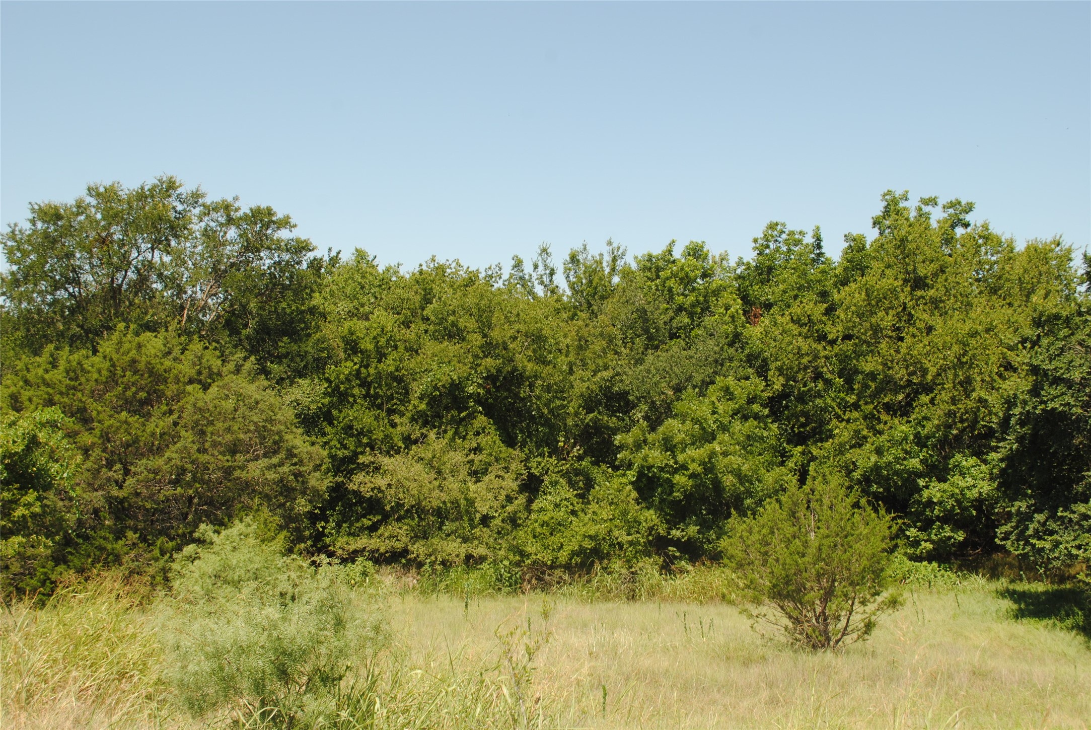 73 109 Goldthwaite TX 76844