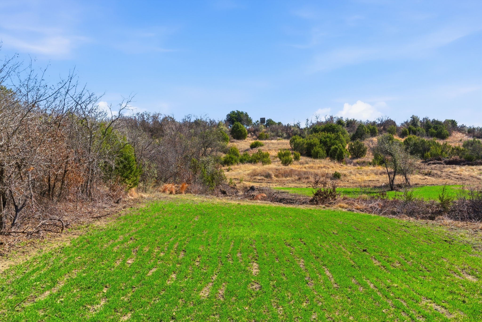 30875 N Us Highway 281 Lipan TX 76462