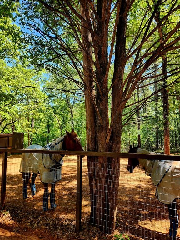 20169 County Road 445 Lindale TX 75771