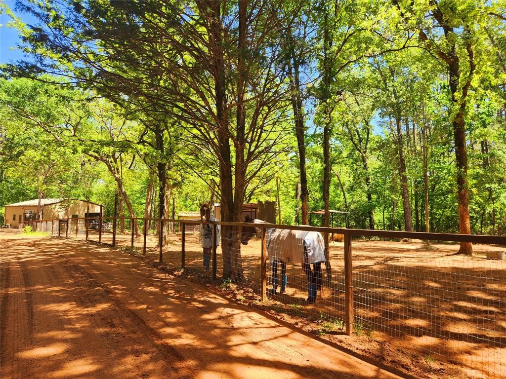 20169 County Road 445 Lindale TX 75771