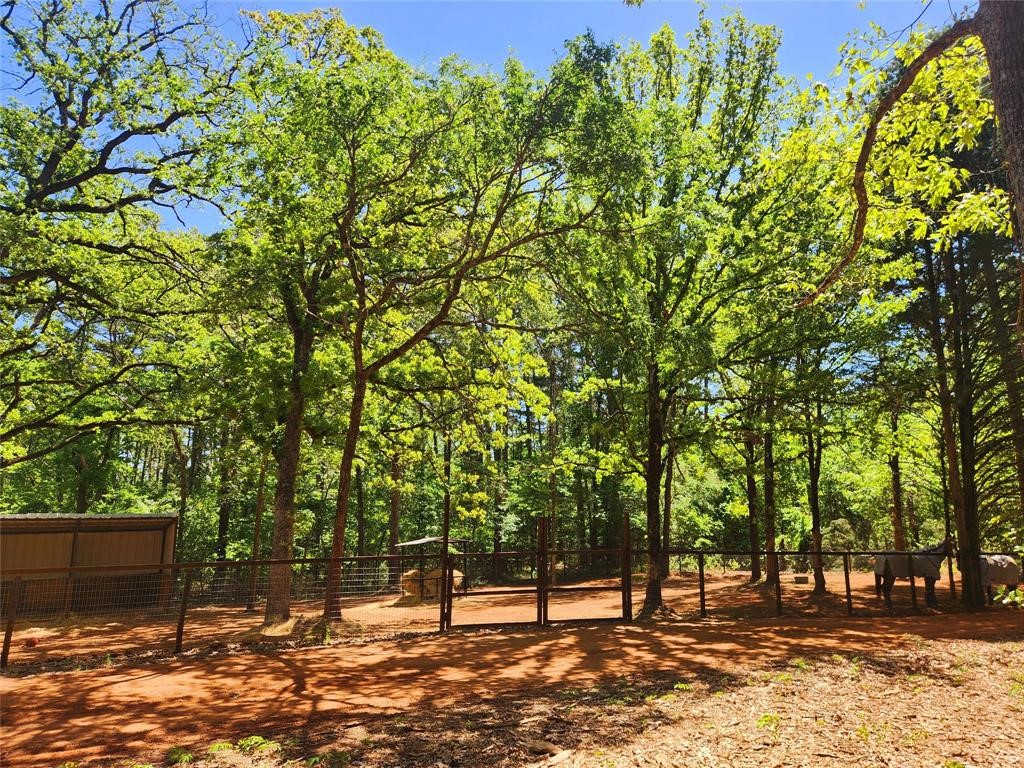 20169 County Road 445 Lindale TX 75771