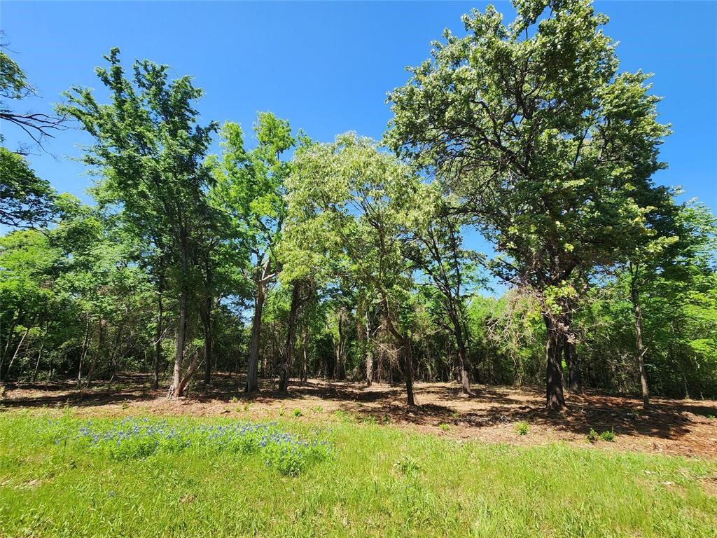 20169 County Road 445 Lindale TX 75771