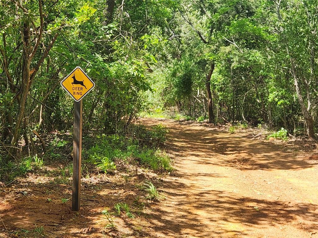 20169 County Road 445 Lindale TX 75771