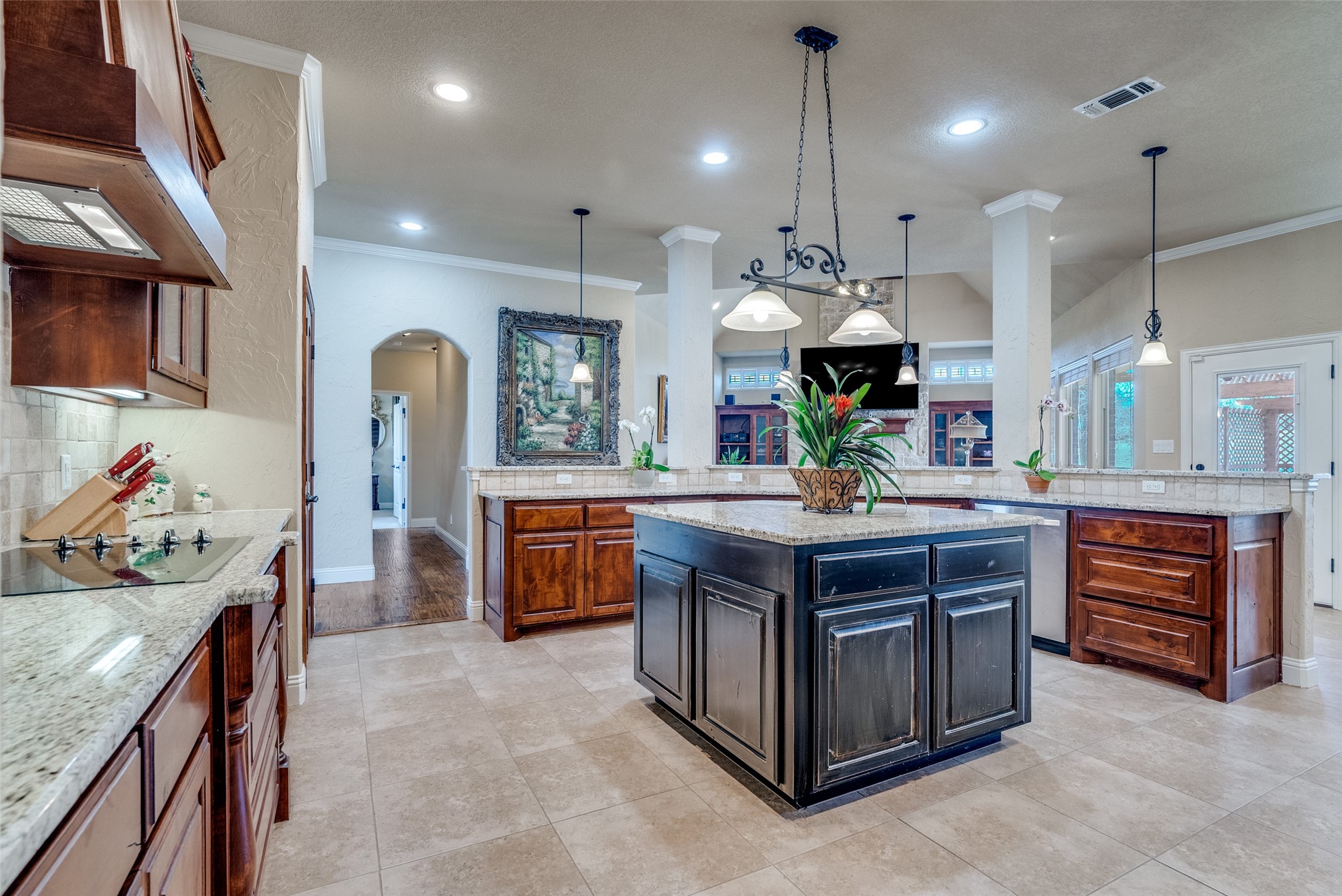 292 Scenic View Drive Aledo TX 76008