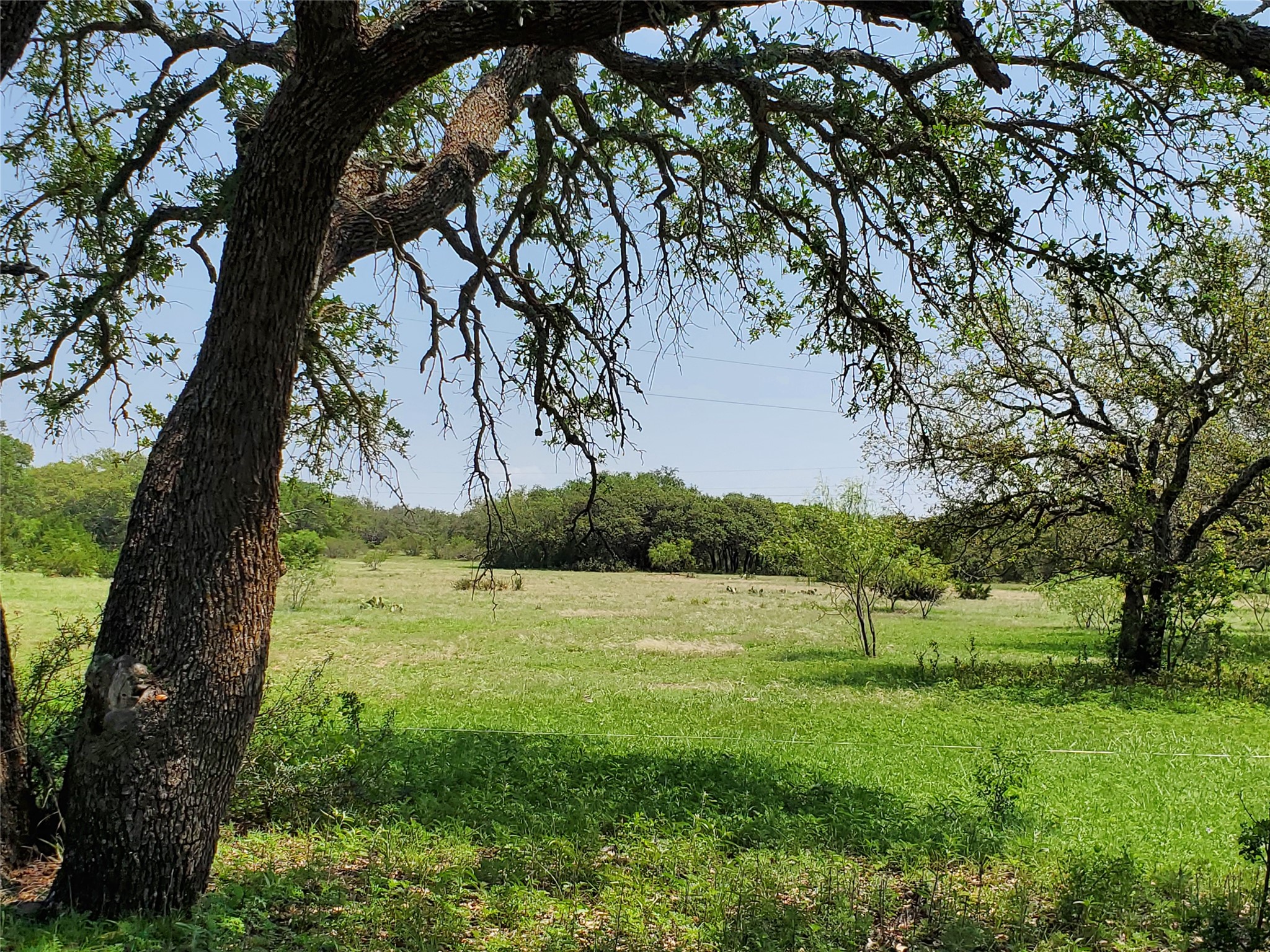8801 Fm 45 S Brownwood TX 76801