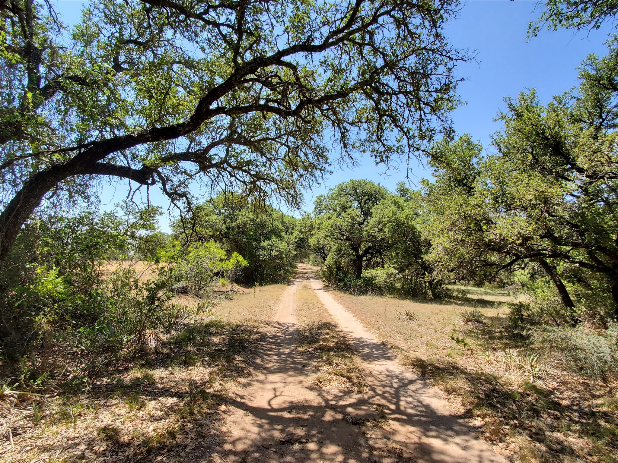 8801 Fm 45 S Brownwood TX 76801