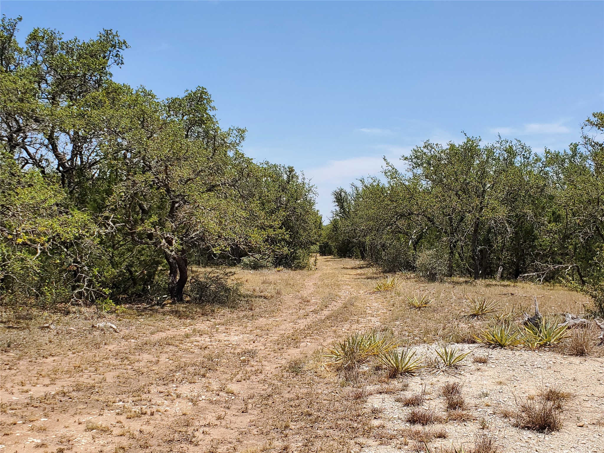 8801 Fm 45 S Brownwood TX 76801