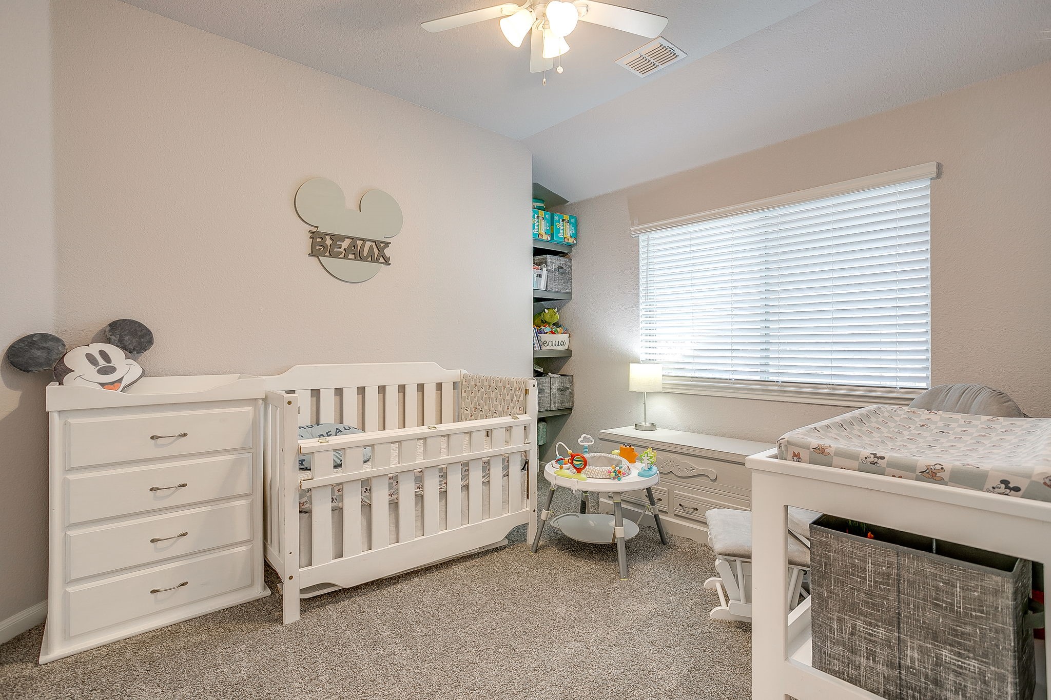 1069 Nighthawk Trail Alvarado TX 76009