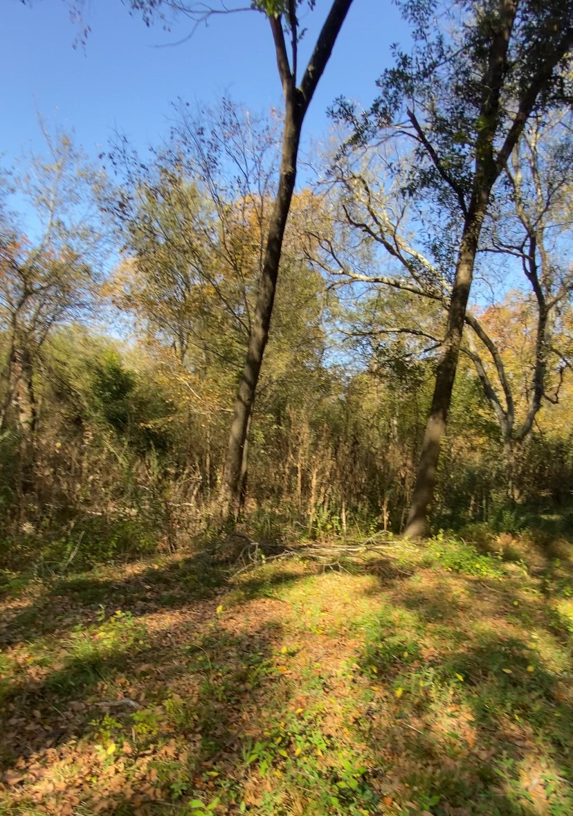 11543 St Hwy 19 N Athens TX 75752