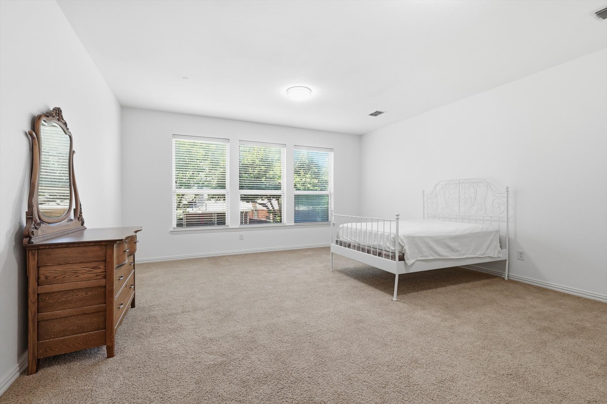 1550 Meadows Avenue Lantana TX 76226
