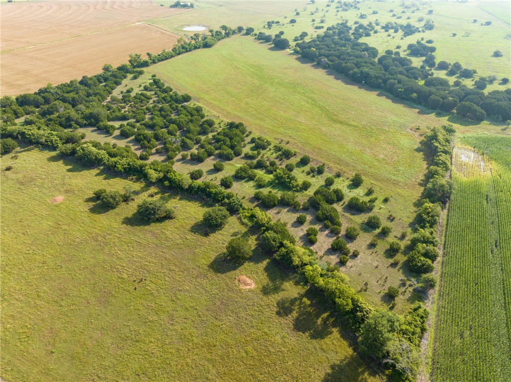 16401 Cedar Rock Parkway Crawford TX 76638