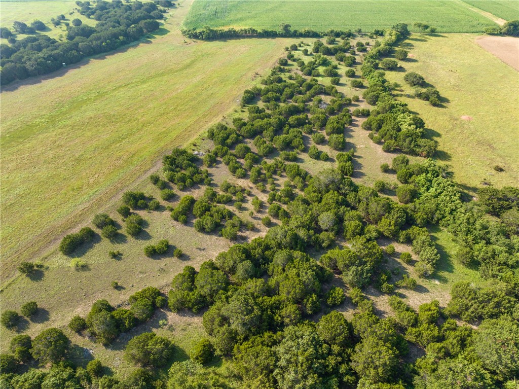 16401 Cedar Rock Parkway Crawford TX 76638