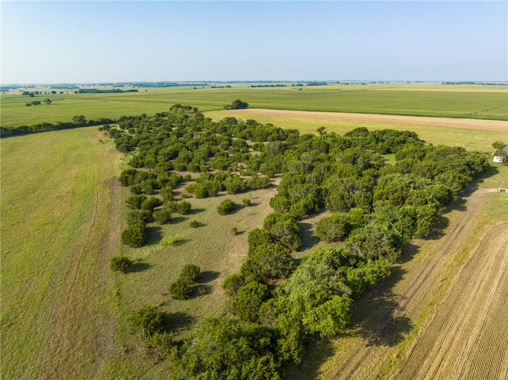 16401 Cedar Rock Parkway Crawford TX 76638