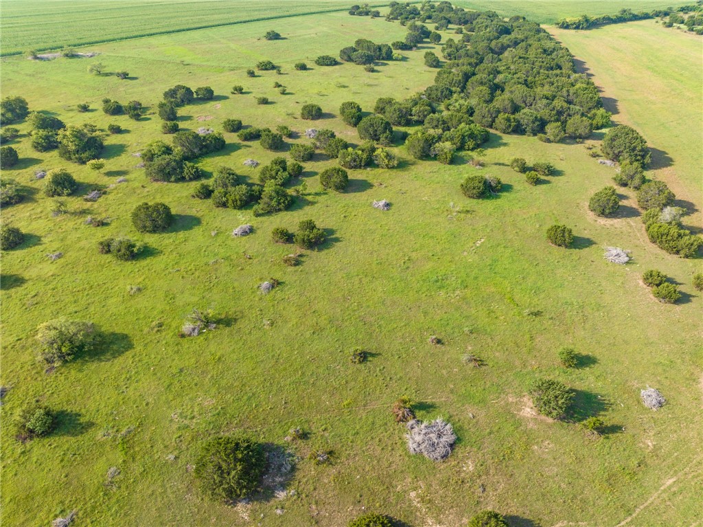 16401 Cedar Rock Parkway Crawford TX 76638