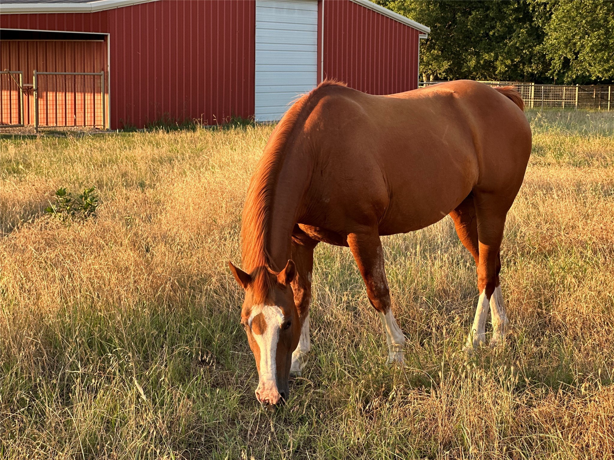510 County Road 247 Valley View TX 76272