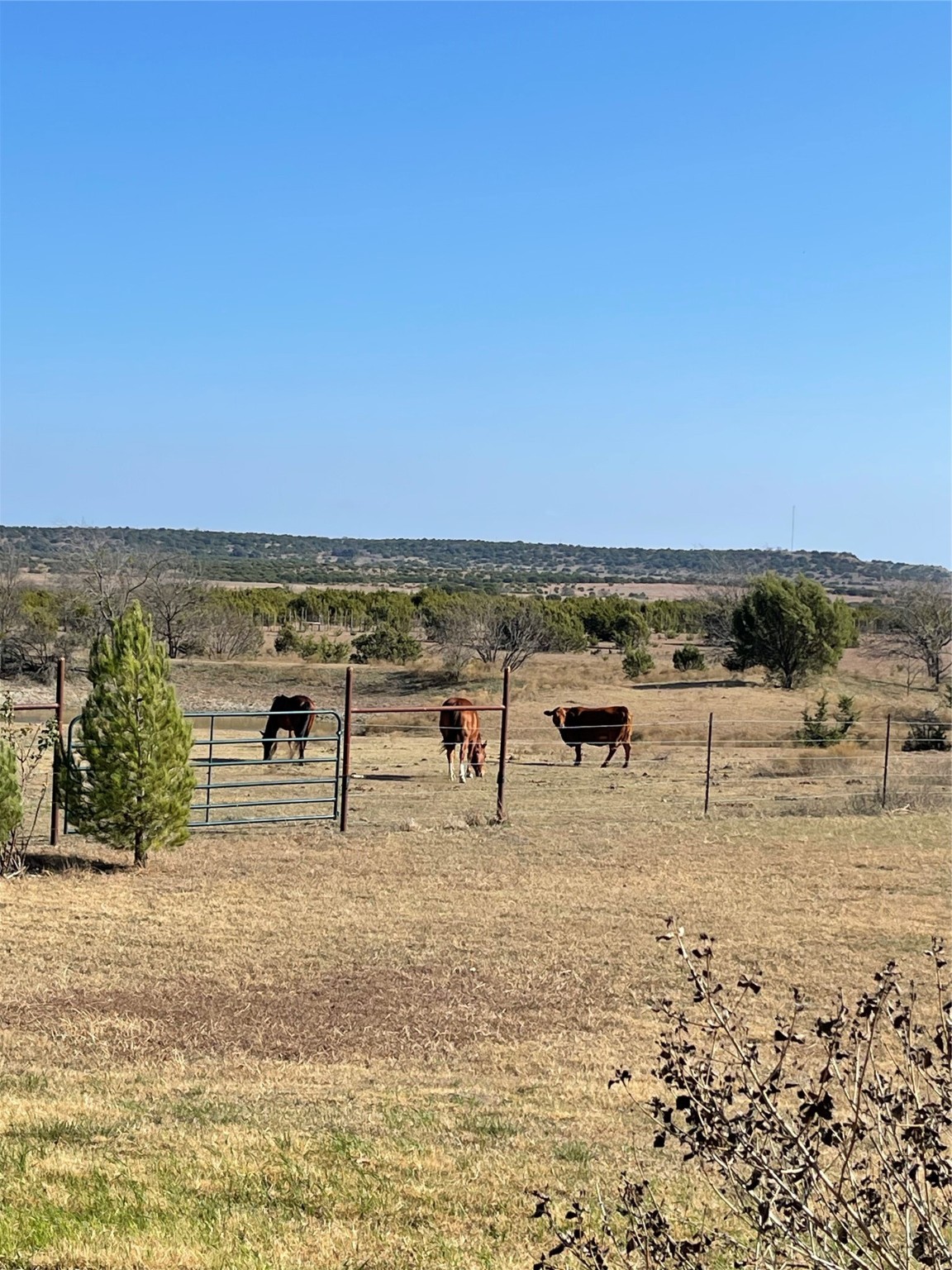 2473 County Road 199 Iredell TX 76649