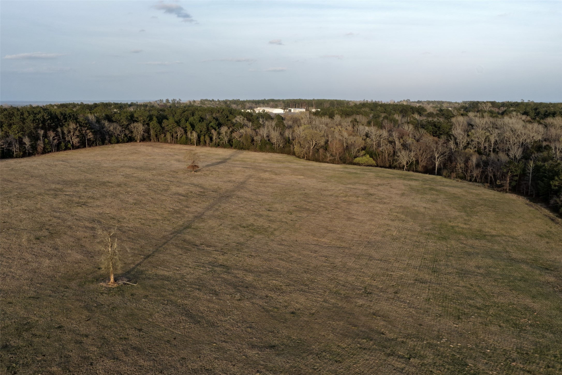 2265 County Road 1613 Jacksonville TX 75766